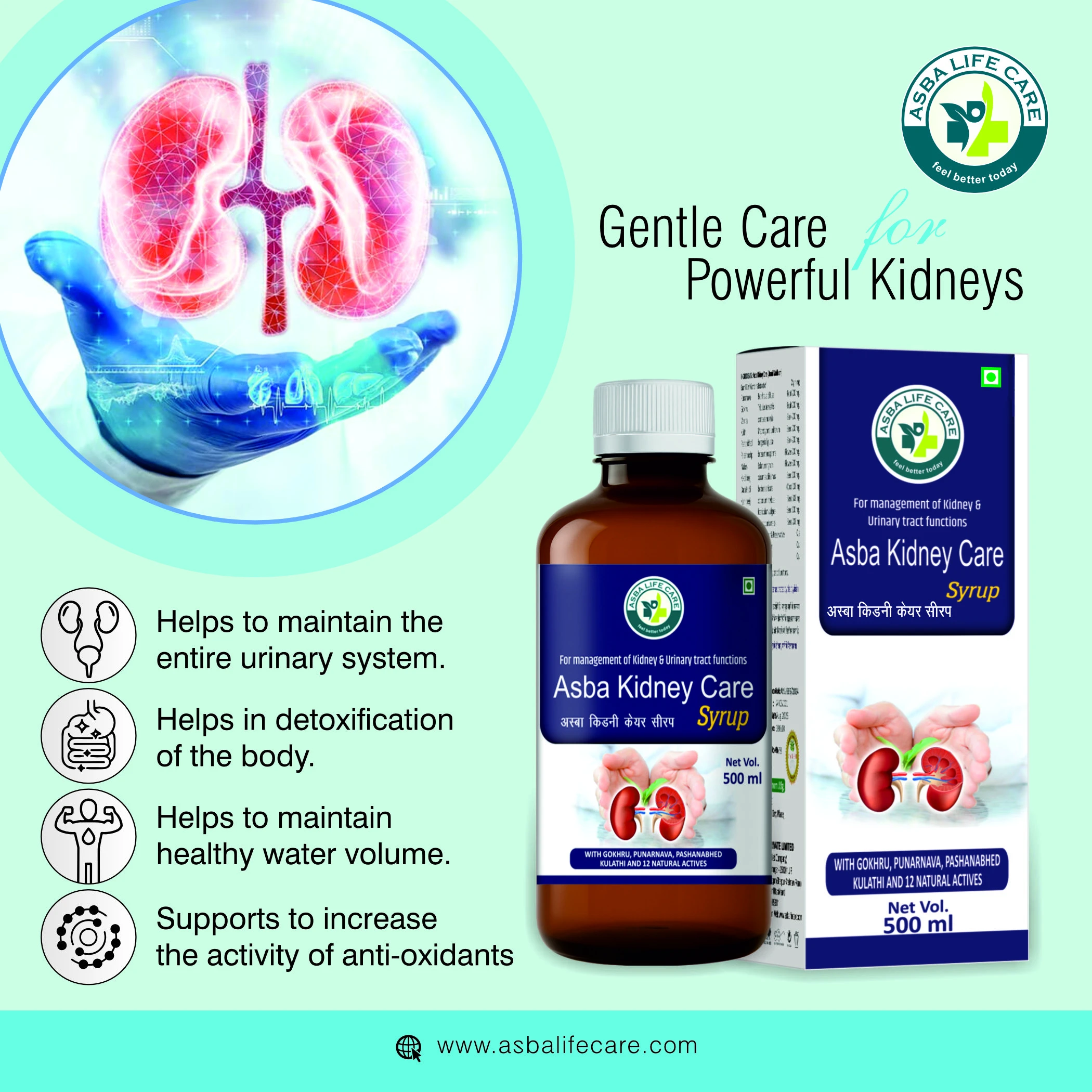 Asba Kidney Care Syrup - Image 3
