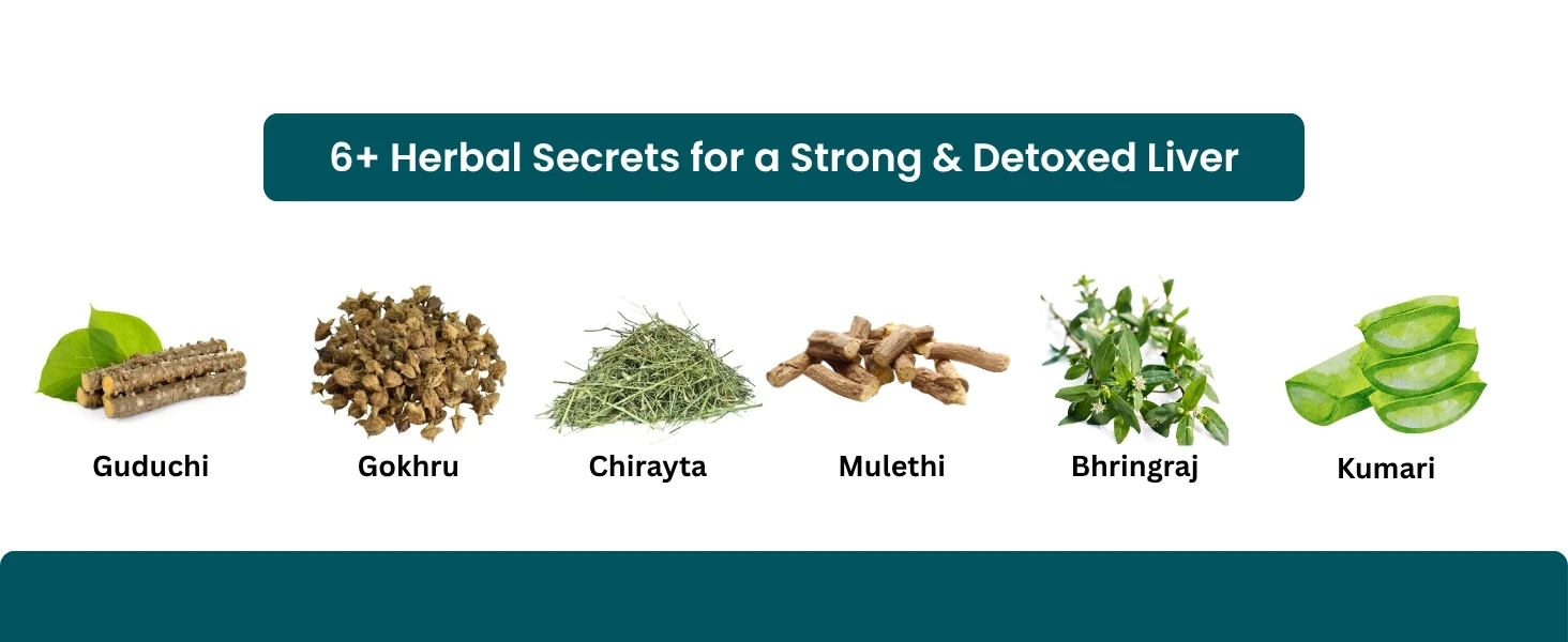 Asba Livo + Syrup Banner