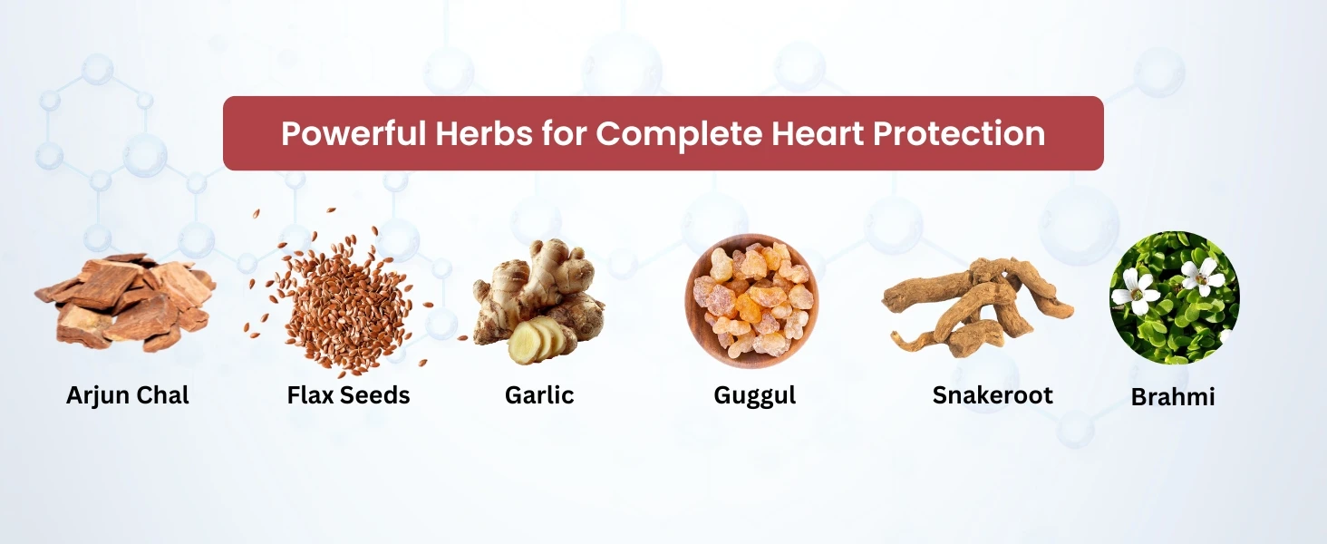 Asba Cardioton Capsule Banner