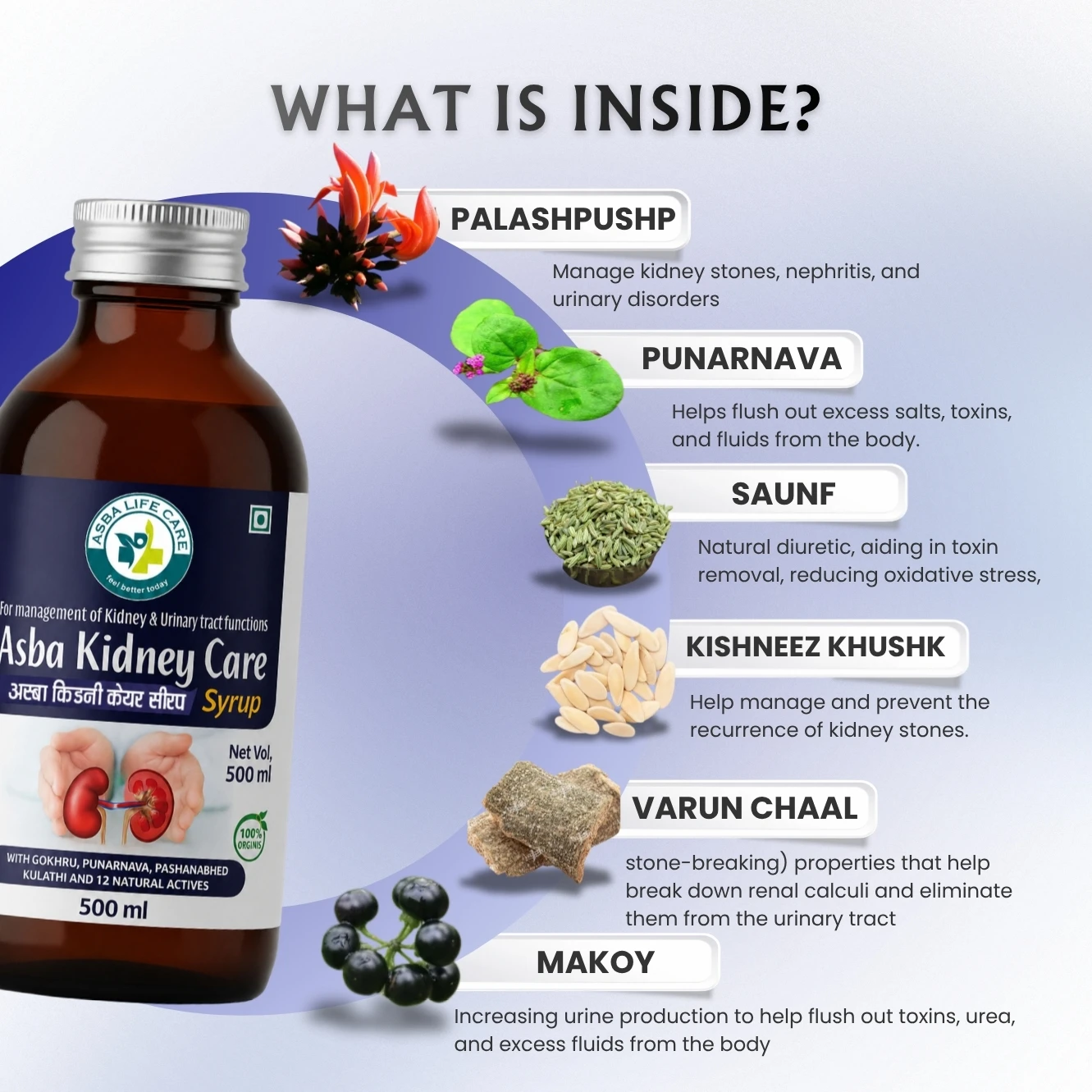 Asba Kidney Care - Hover