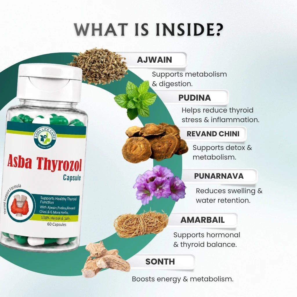 Asba Thyrozol Capsule - Image 2