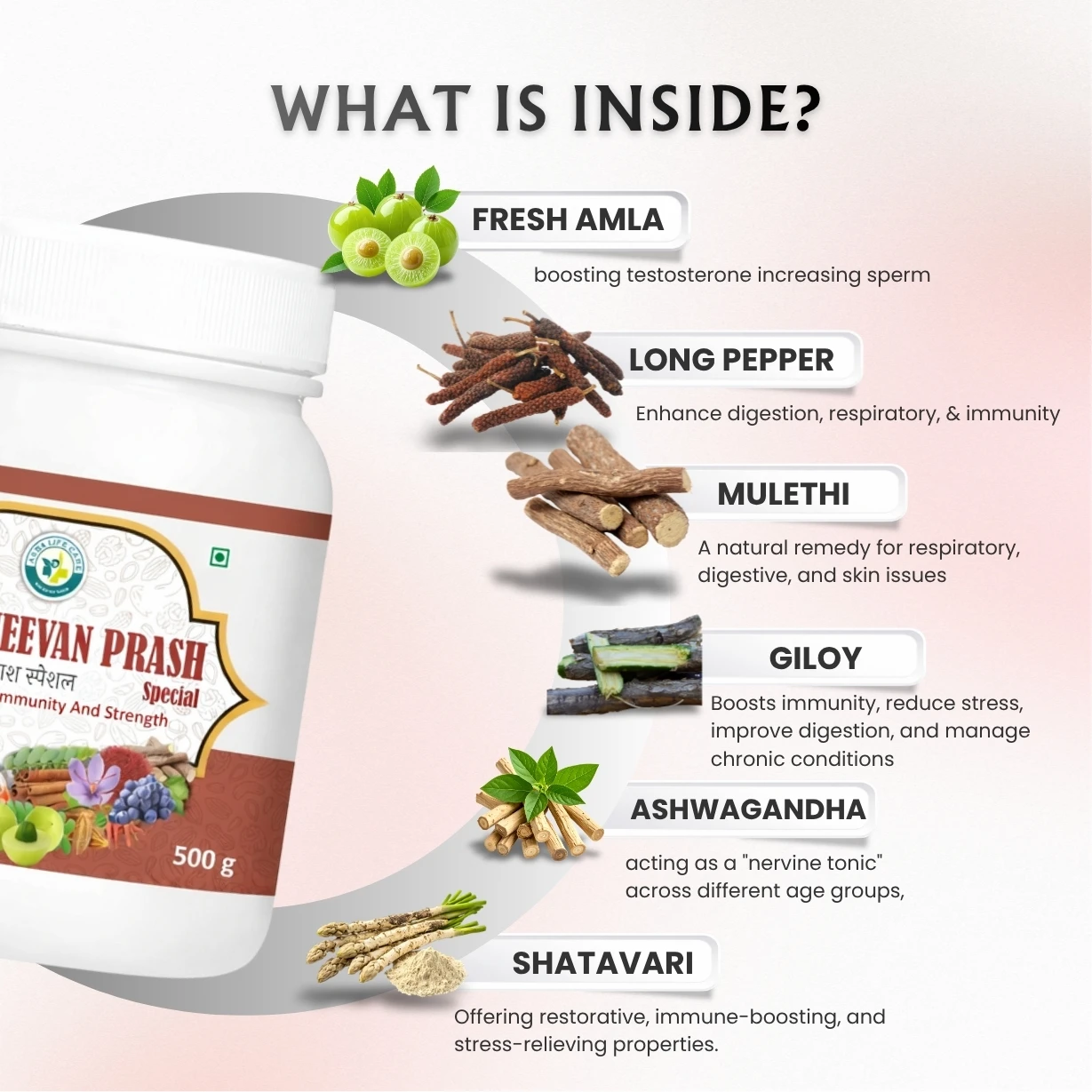 Asba Jeevan Prash Special - Hover