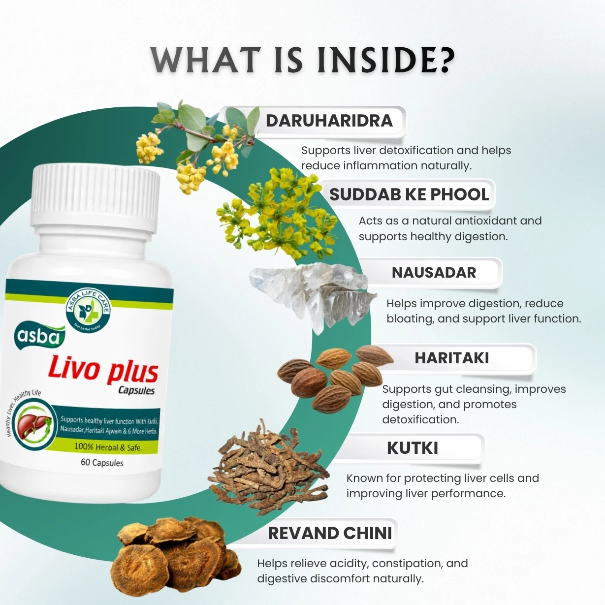 Asba Livo Plus Capsule - Hover