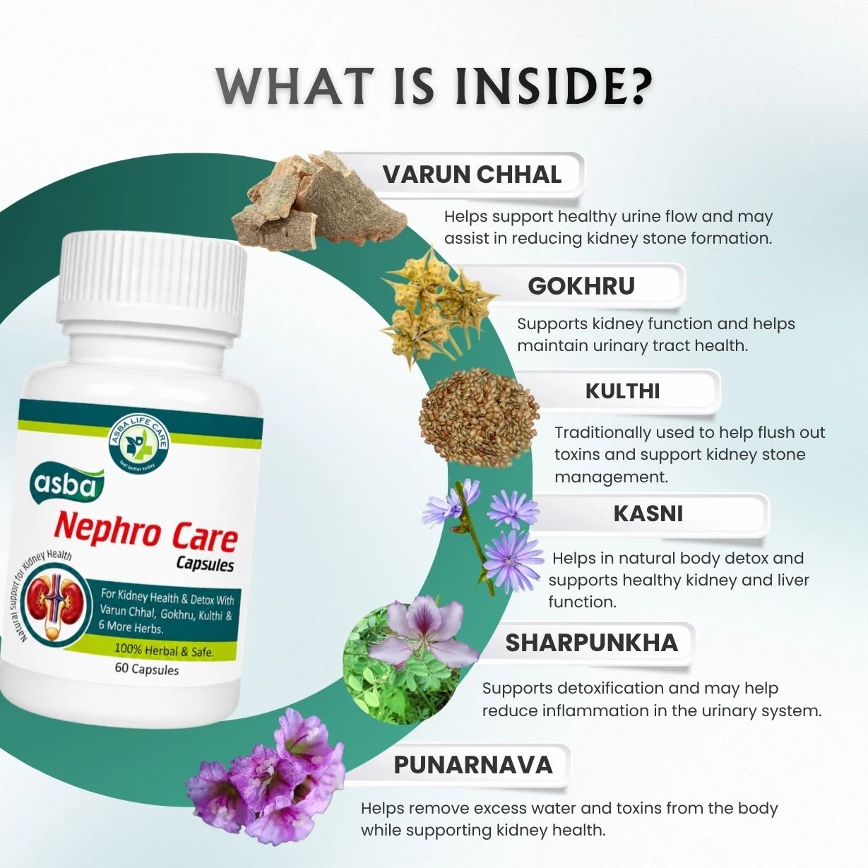 Asba Nephro Care - Hover