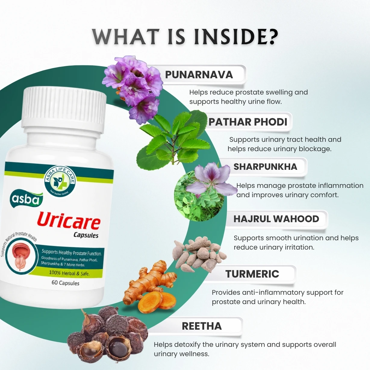Asba Uricare Capsule - Hover