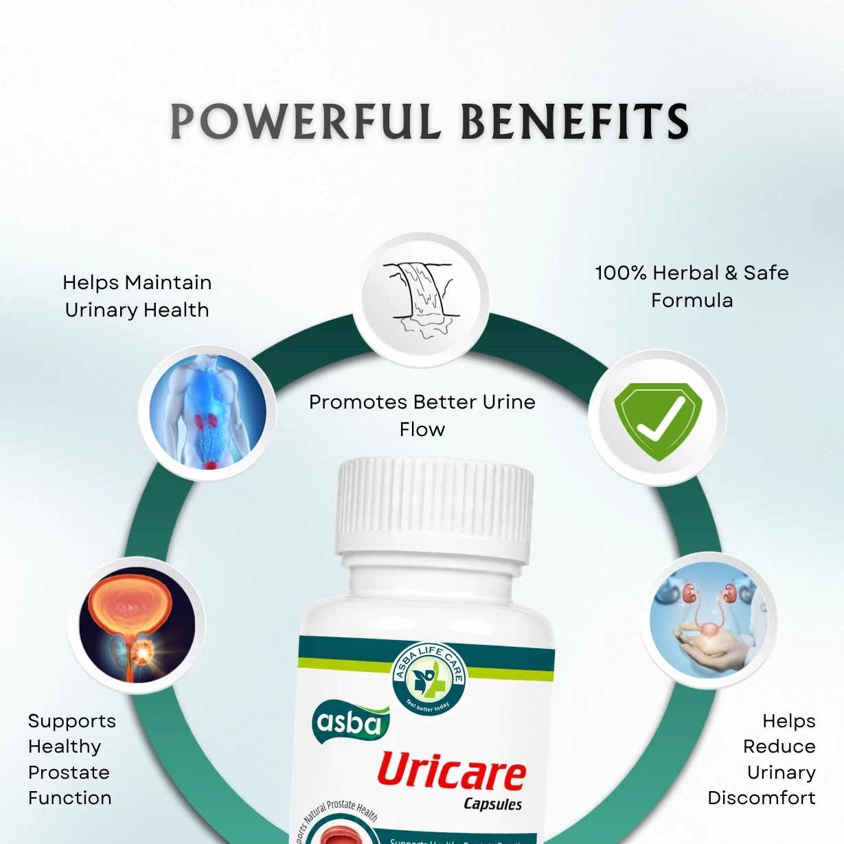 Asba Uricare Capsule - Image 3