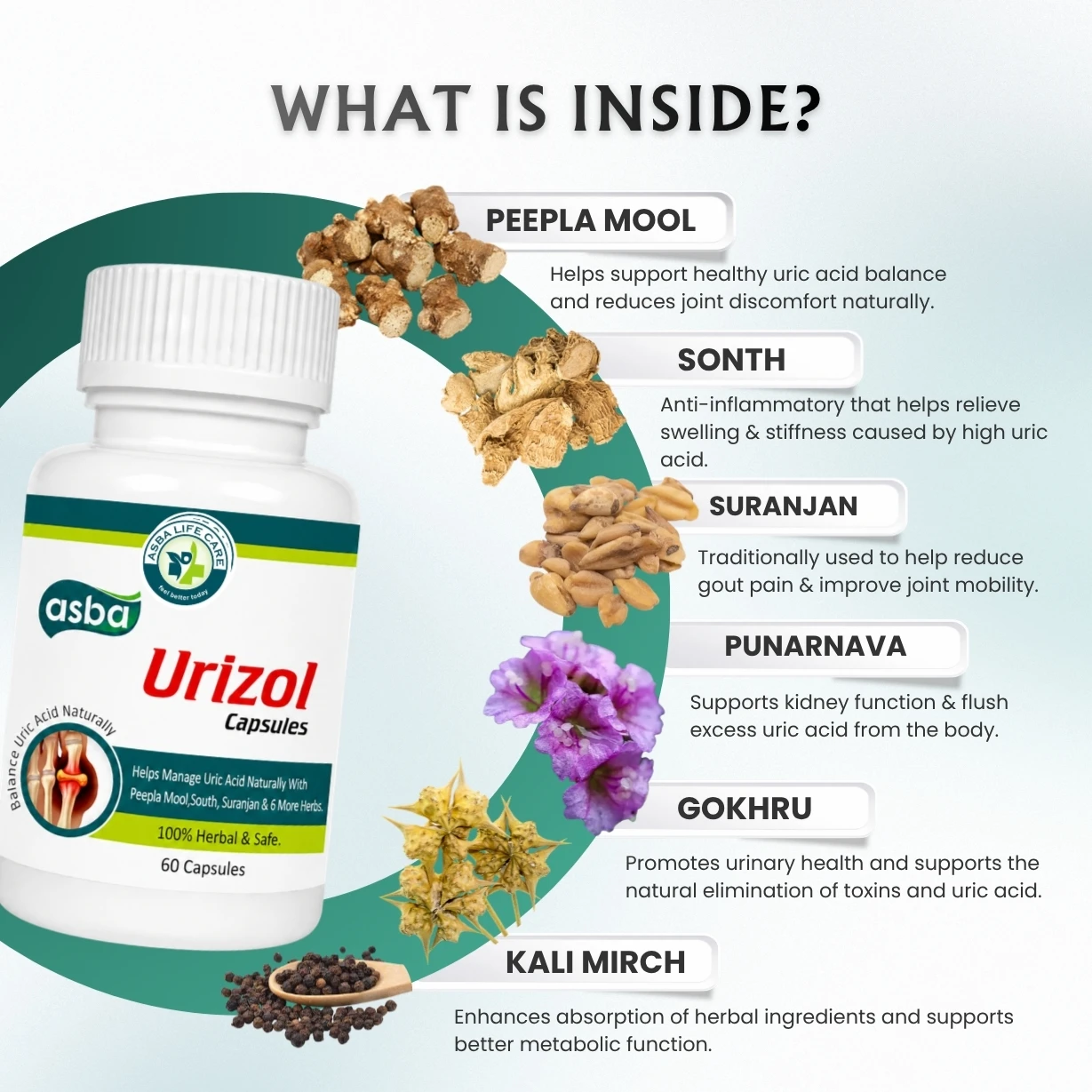 Asba Urizol Capsule - Hover