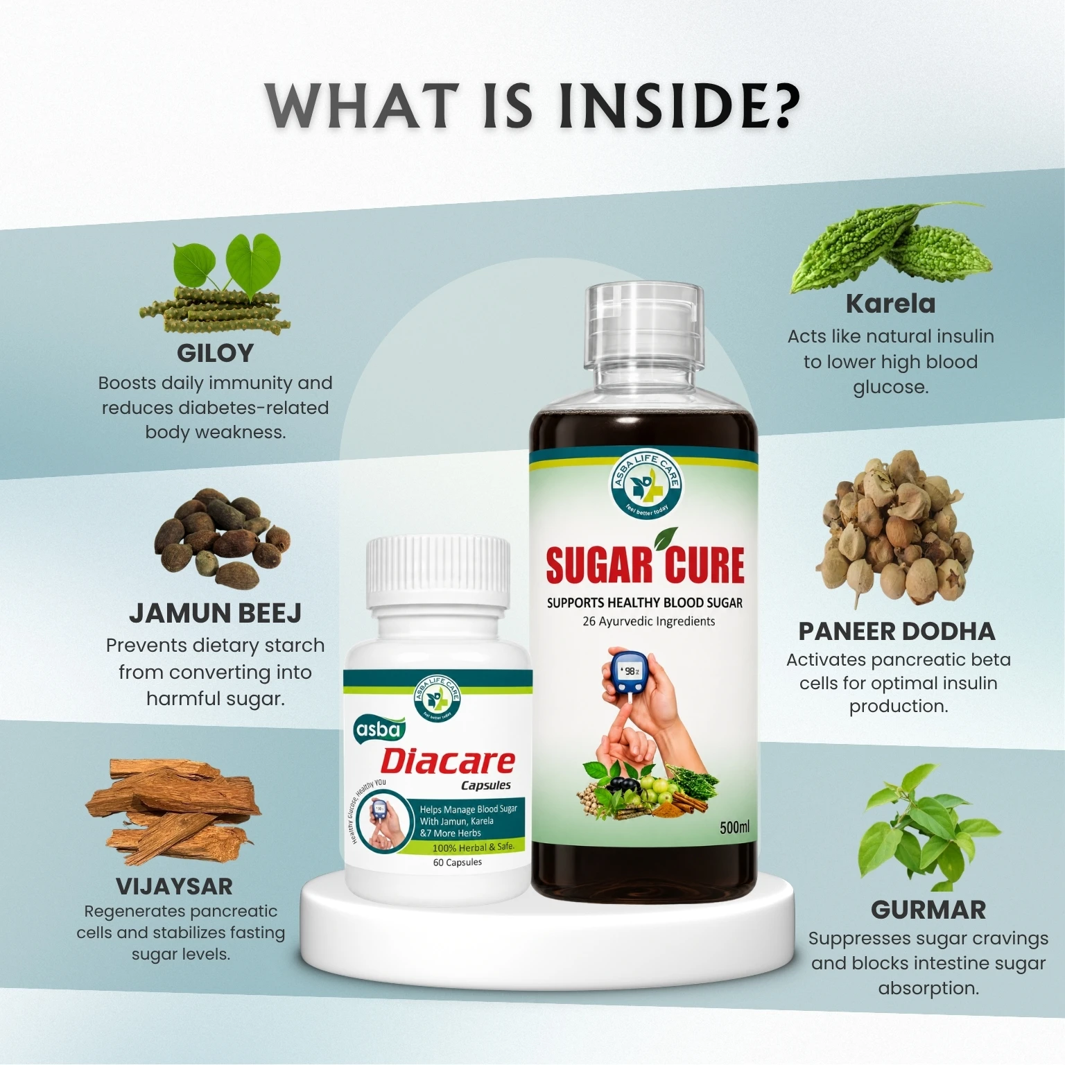 Advanced Diabetes Care Combo - Image 2