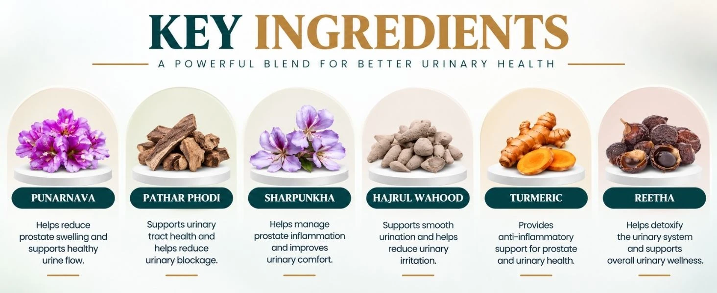 Asba Uricare Capsule Banner