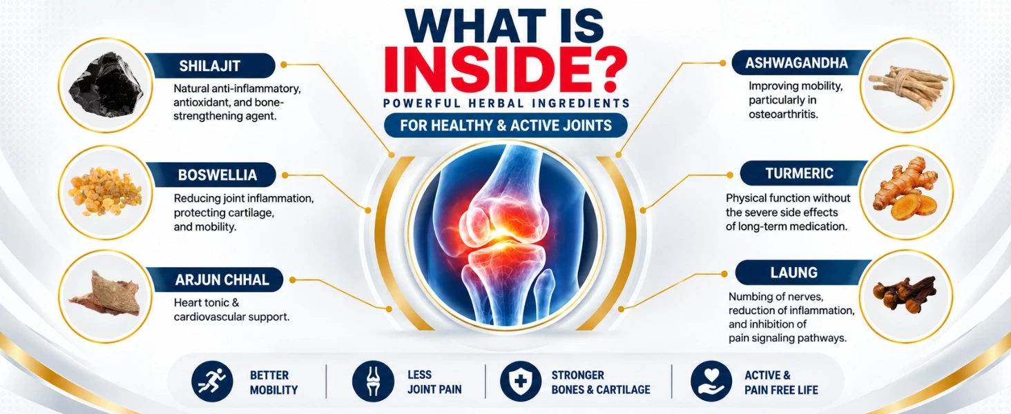 Orthopedic Care Combo Banner