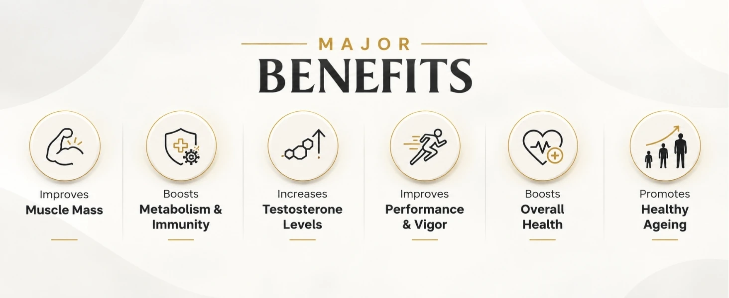 Shilajit Gold Resin Banner