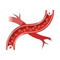 With Ingrdients that enhance circulation.