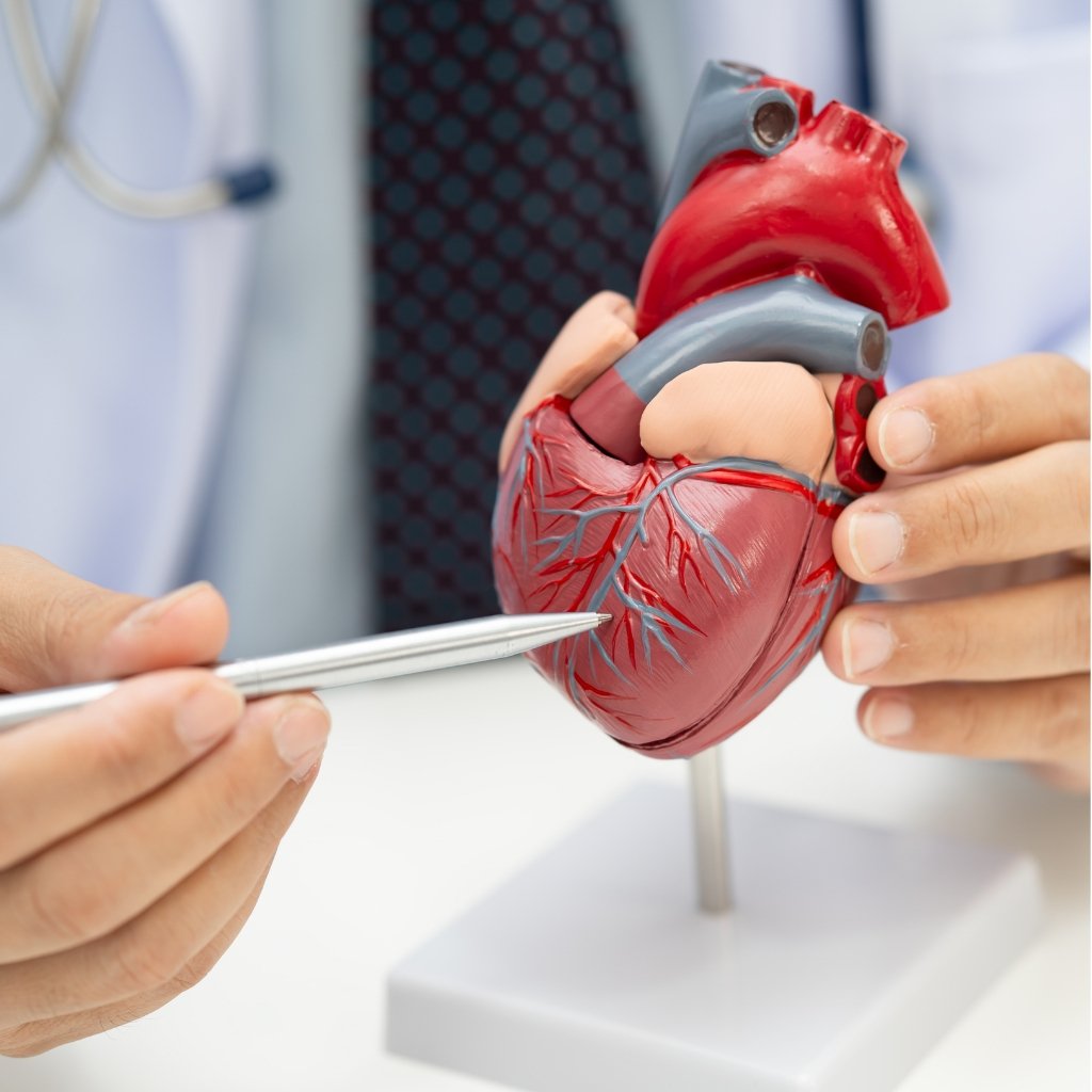 Improves  Heart Function