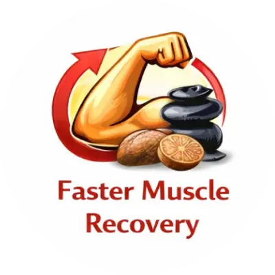 Faster Muscle Recovery