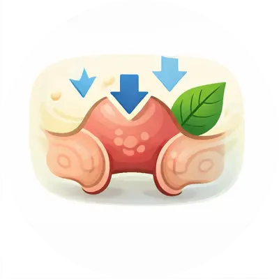 Helps minimize swelling, inflammation, and pile lumps