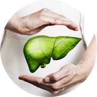 Supports Healthy Liver Function
