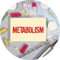 Supports Liver & Metabolic Wellness