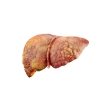 Supports Liver Health