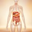 Supports Healthy Stomach & Gut