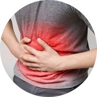 Supports Bowel Regularity