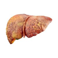 Supports Healthy Liver Function