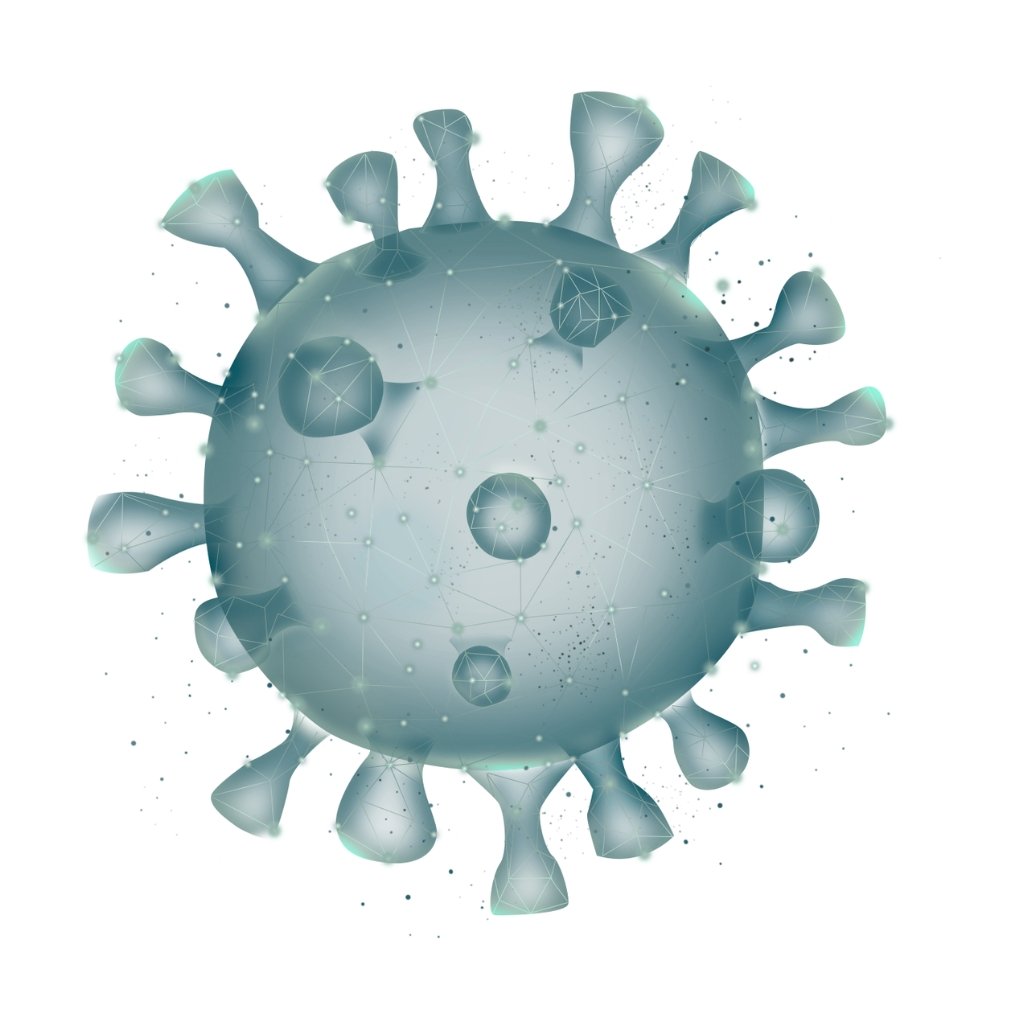 Supports Strong Immunity
