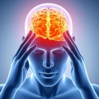 Supports brain function and focus