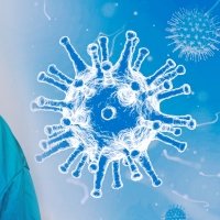 Improves immunity and overall wellness