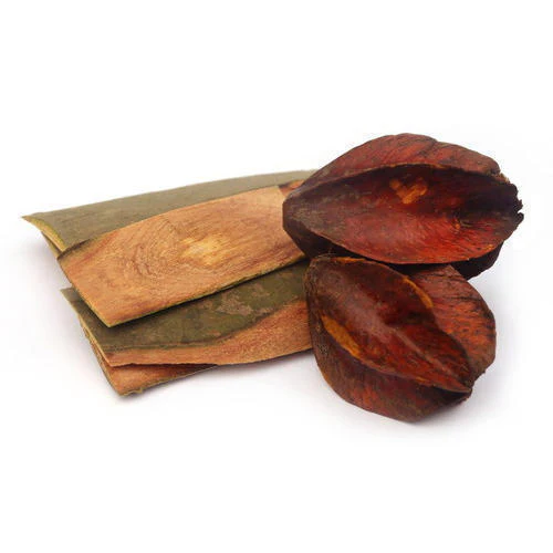 Arjun Chaal