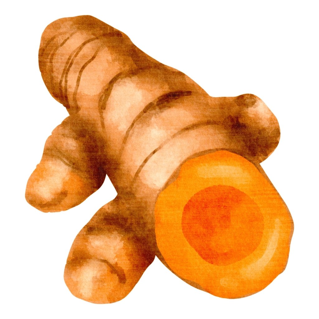 Haridra