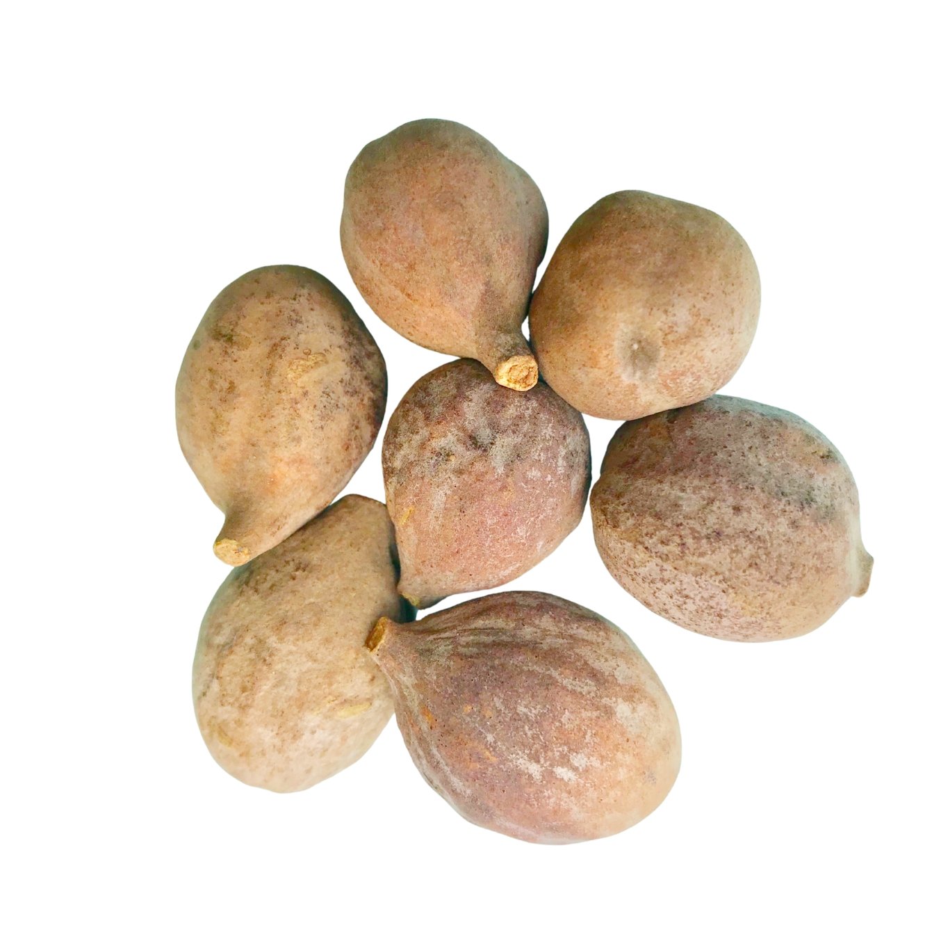 Baheda