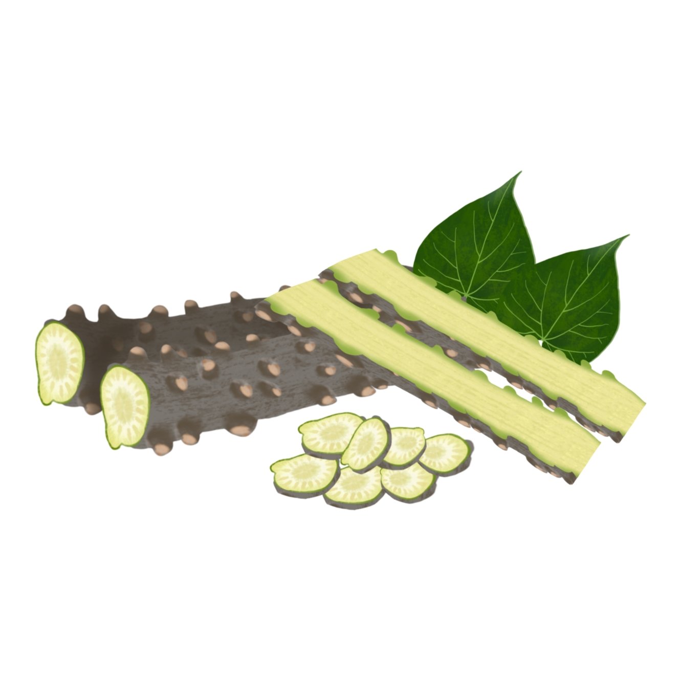 Giloy (Tinospora cordifolia)