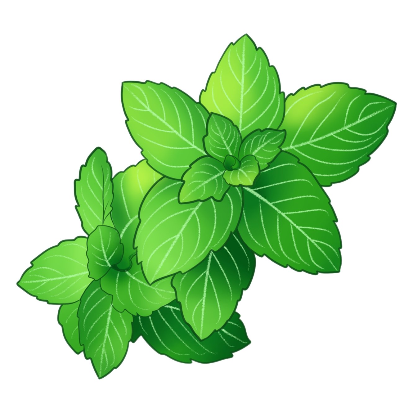 Tulsi