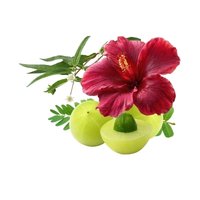 Amla, Gudhal, Bhringraj