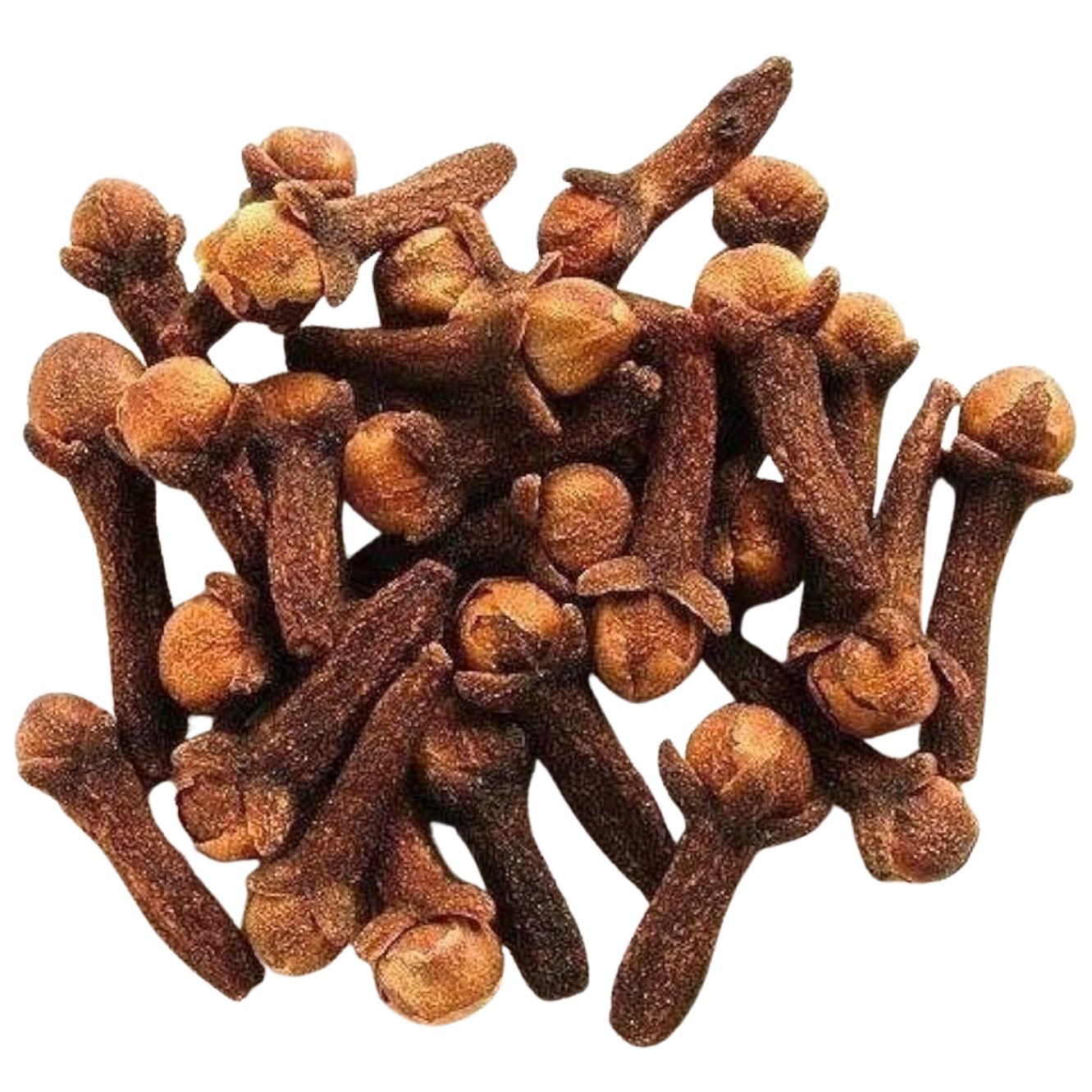 LAUNG (CLOVE)