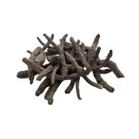 Kali Musli Extract