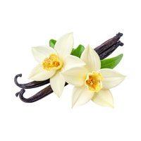 Vanilla Extract