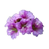 Punarnava Extract (Boerhavia diffusa)