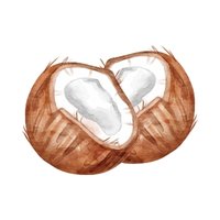 Coconut