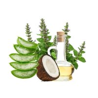 Coconut, Tulsi, Aloe Vera