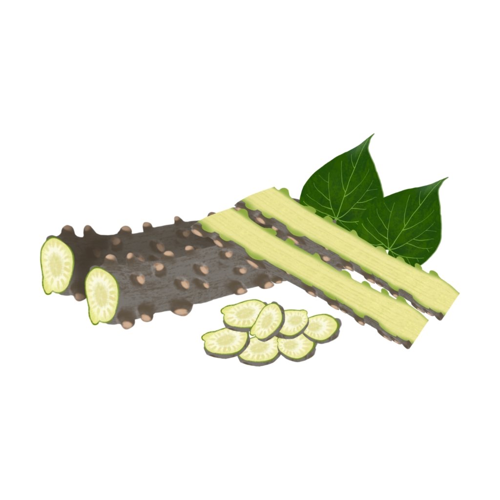 Giloy (Tinospora cordifolia)