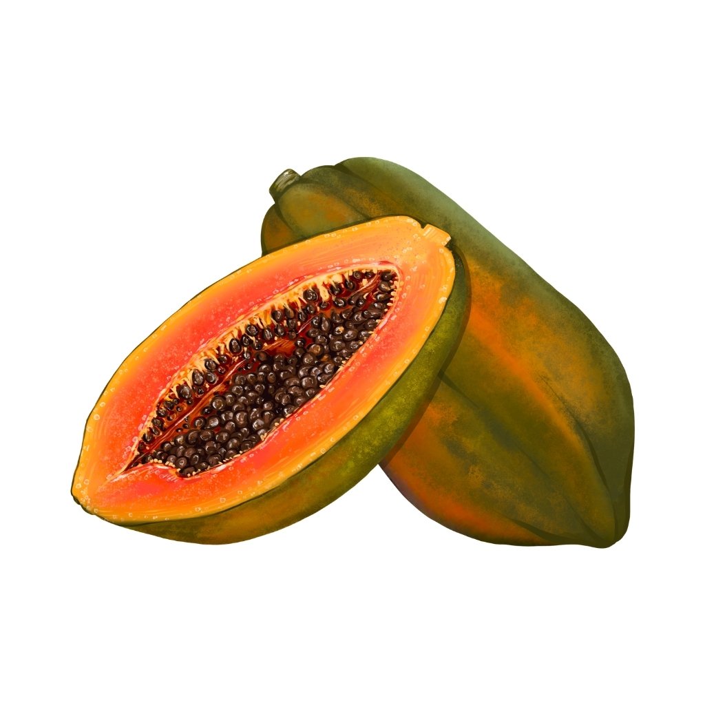 Papaya